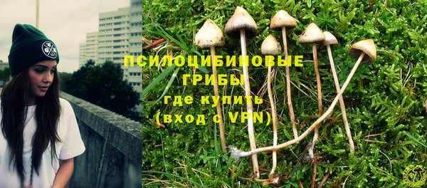 кокс Алзамай